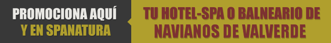 Tiendas en Navianos de Valverde